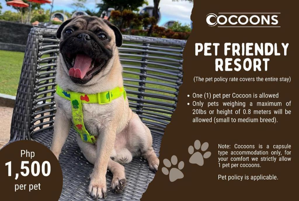 Cocoons Club Laiya Hotel Exterior photo